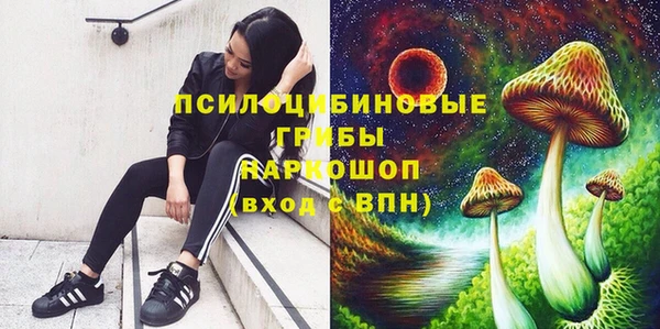PSILOCYBIN Балабаново