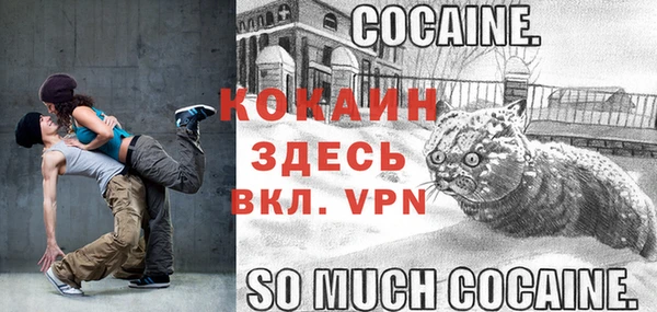 PSILOCYBIN Балабаново