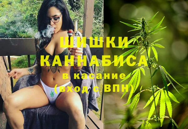 PSILOCYBIN Балабаново