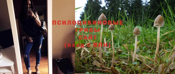 PSILOCYBIN Балабаново