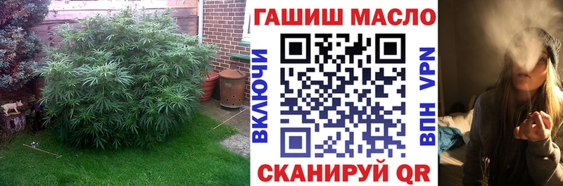 как найти   Североуральск  blacksprut как зайти  Дистиллят ТГК Wax 