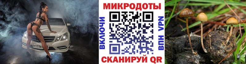 дарнет шоп  Североуральск  darknet состав  Псилоцибиновые грибы Magic Shrooms 